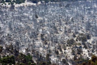 Η ολέθρια καταστροφή της Πάρνηθας το 2007