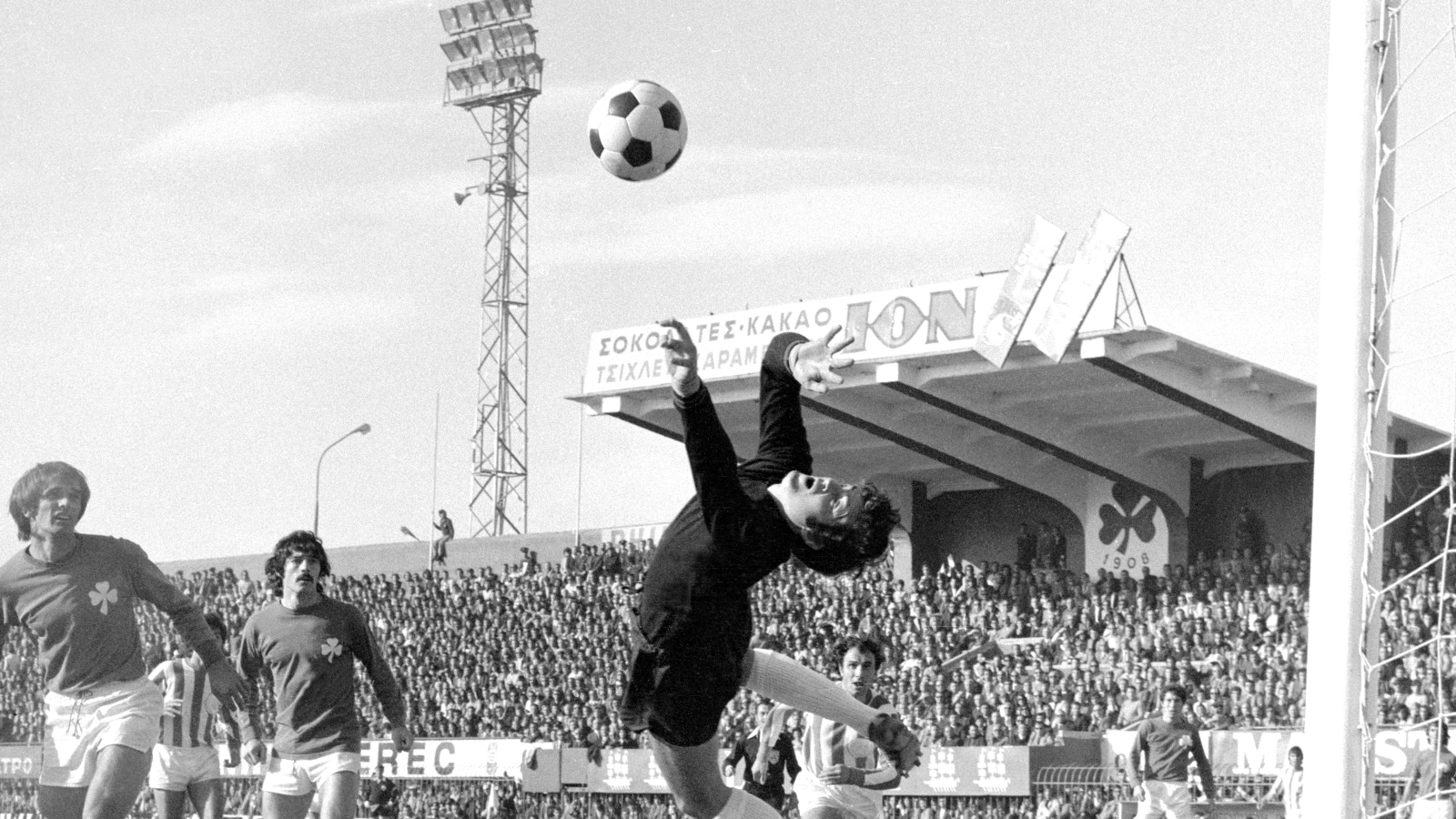 Τάκης Οικονομόπουλος, το «πουλί» που πέταξε στον ουρανό