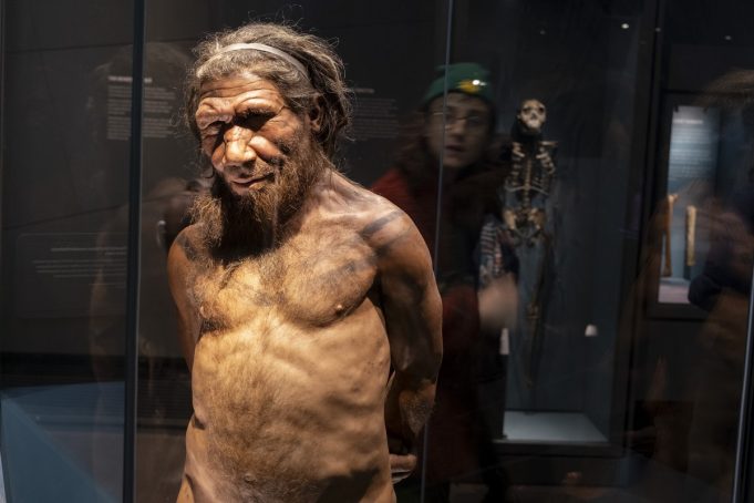 Τι αποκαλύπτει το DNA μας για τη σεξουαλική ζωή των Νεάντερταλ