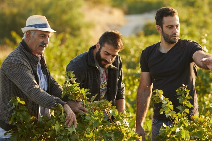 Βουνί Παναγιά: Τα κρασιά από την Κύπρο στα ποτήρια μας στην Αθήνα