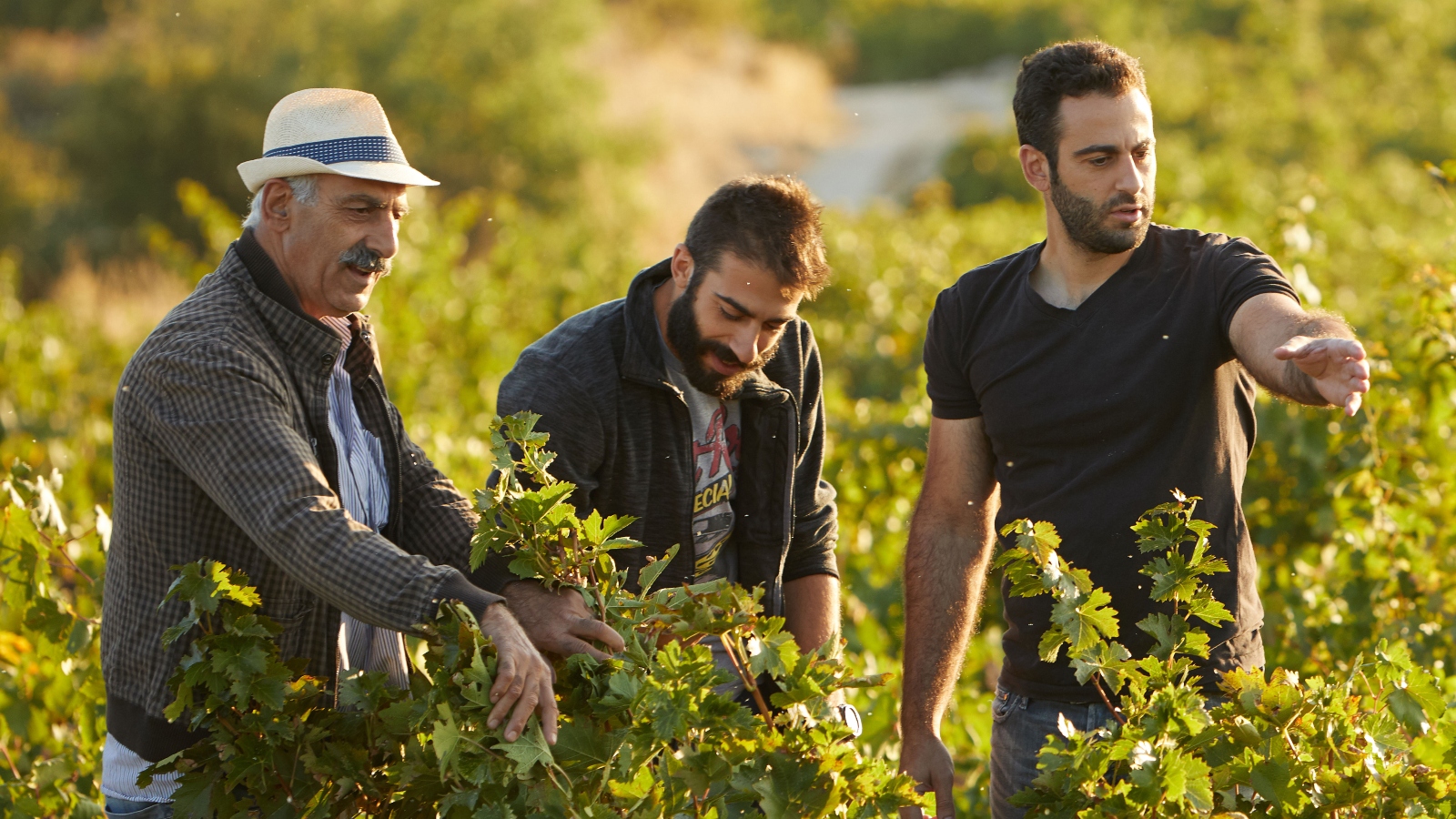 Βουνί Παναγιά: Τα κρασιά από την Κύπρο στα ποτήρια μας στην Αθήνα
