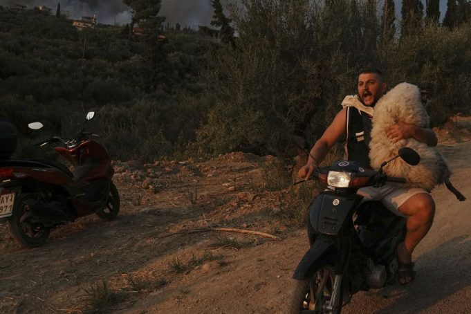 Όλο το 2025 σε 25 στιγμές