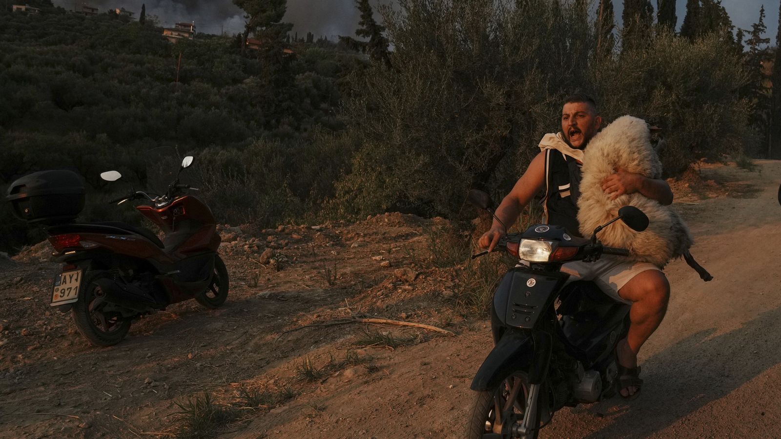 Όλο το 2025 σε 25 στιγμές