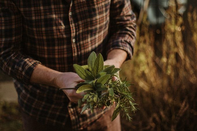 Το βότανο που δυναμώνει τα μαλλιά - Καταπολεμά πιτυρίδα και τριχόπτωση