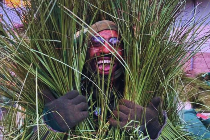 Andrew Athias, πώς έγινες ο άνθρωπος-γρασίδι στο Halftime Show του Bad Bunny;