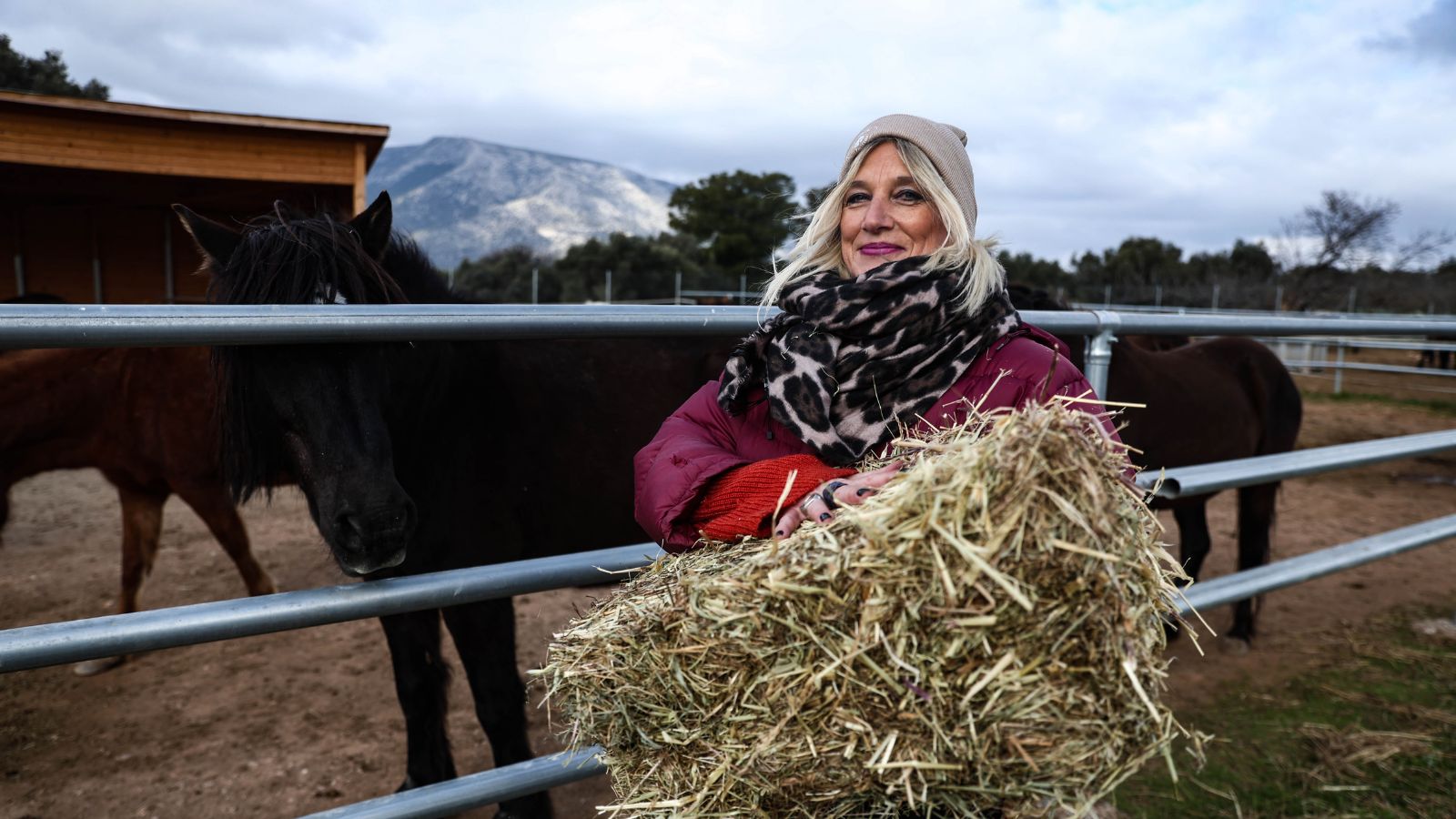 Όταν μιλάει στα άλογα, η Κατερίνα ακούει καλύτερα την φωνή της