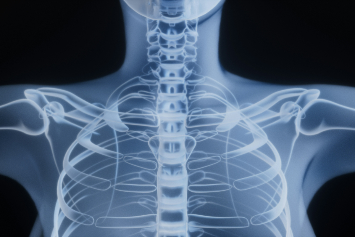 Το μικρό όργανο που ίσως παίζει καθοριστικό ρόλο στη μακροζωία