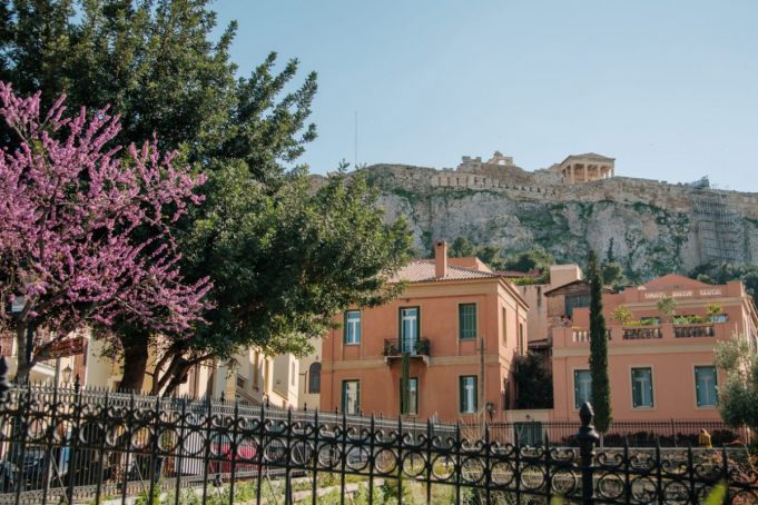 Το εξαιρετικά σπάνιο αγριολούλουδο που φύεται κάτω από την Ακρόπολη