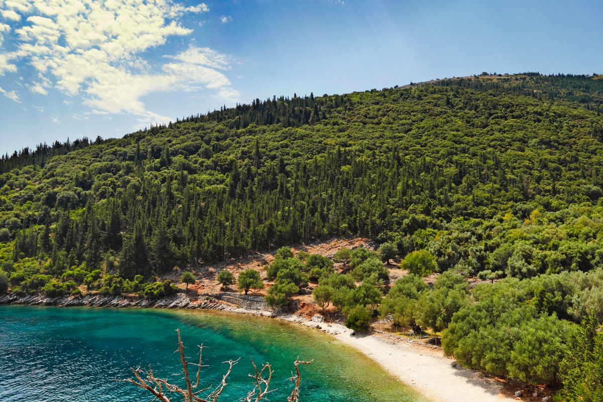 Χοργοτά