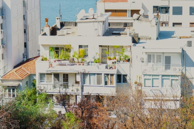 Πώς να διατηρήσεις δροσερά τα φυτά και να βοηθήσεις τις μέλισσες στο μπαλκόνι σου