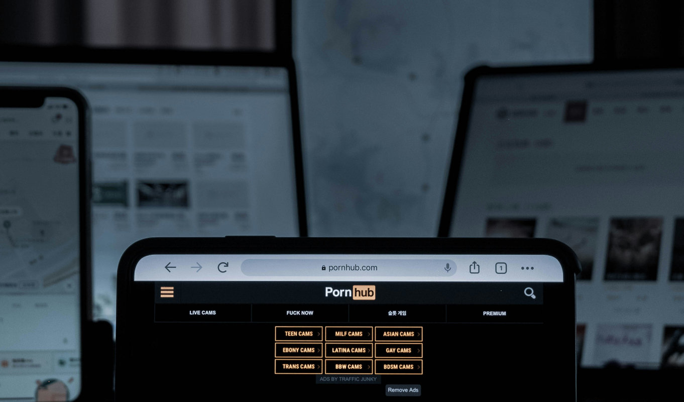 Τι αναζήτησαν και είδαν περισσότερο φέτος οι χρήστες του Pornhub